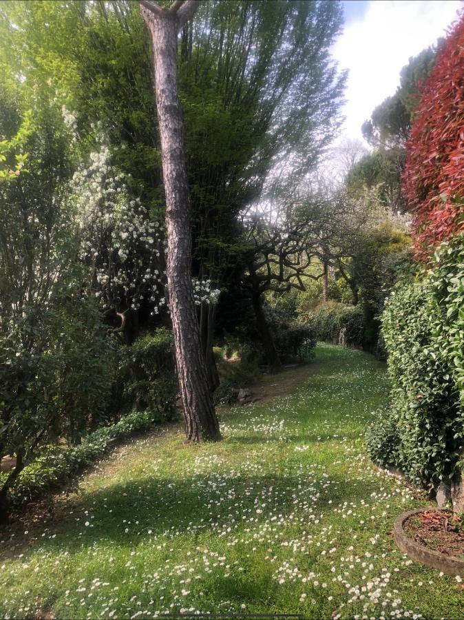 Il Pioppo Antico Viggiù Exterior foto