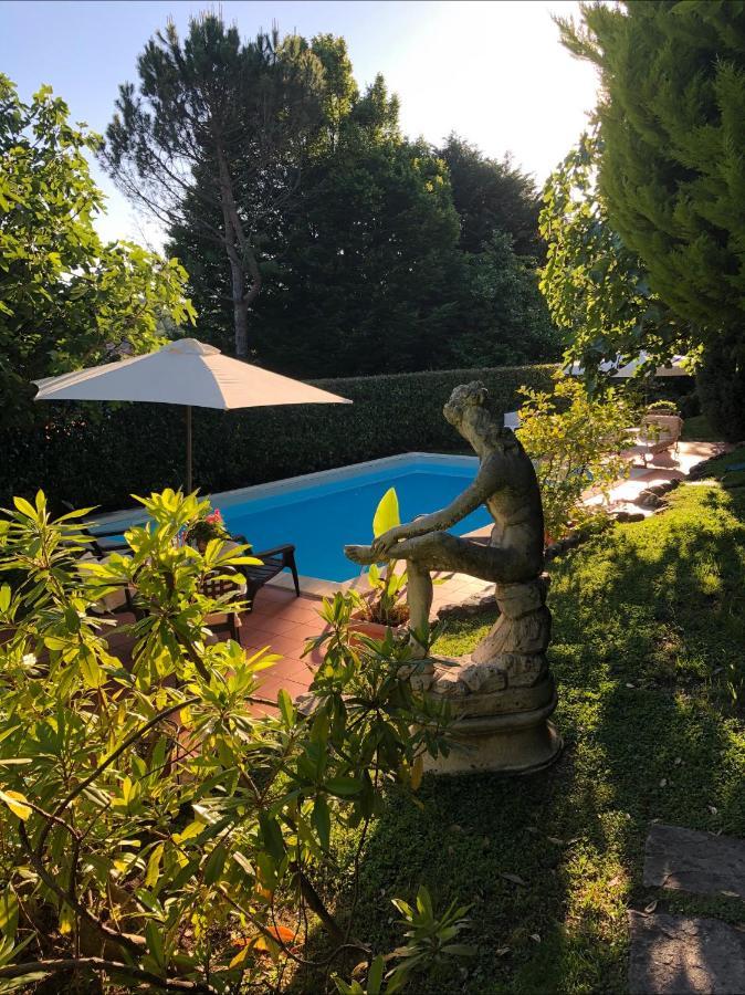 Il Pioppo Antico Viggiù Exterior foto
