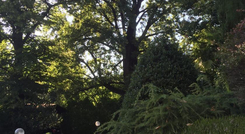 Il Pioppo Antico Viggiù Quarto foto