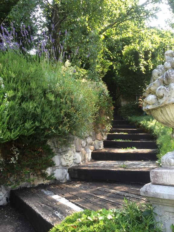 Il Pioppo Antico Viggiù Quarto foto