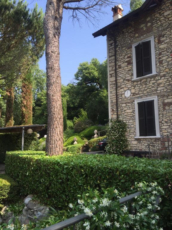 Il Pioppo Antico Viggiù Quarto foto