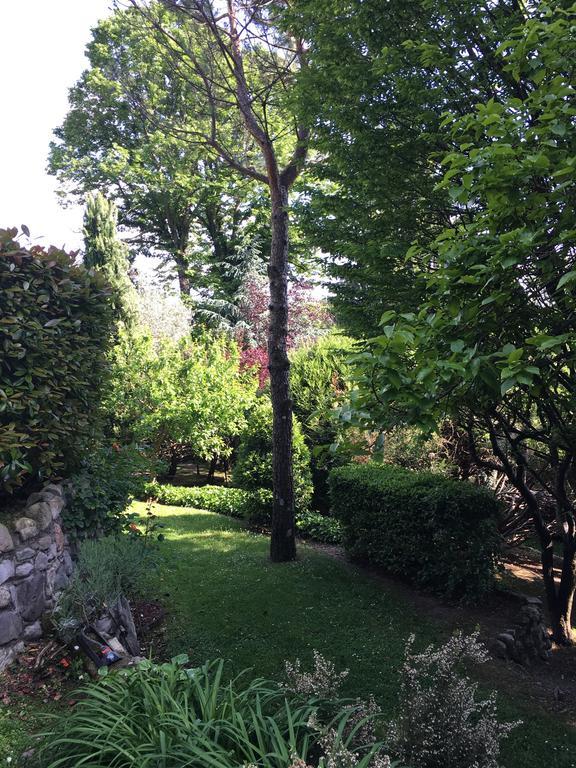 Il Pioppo Antico Viggiù Exterior foto